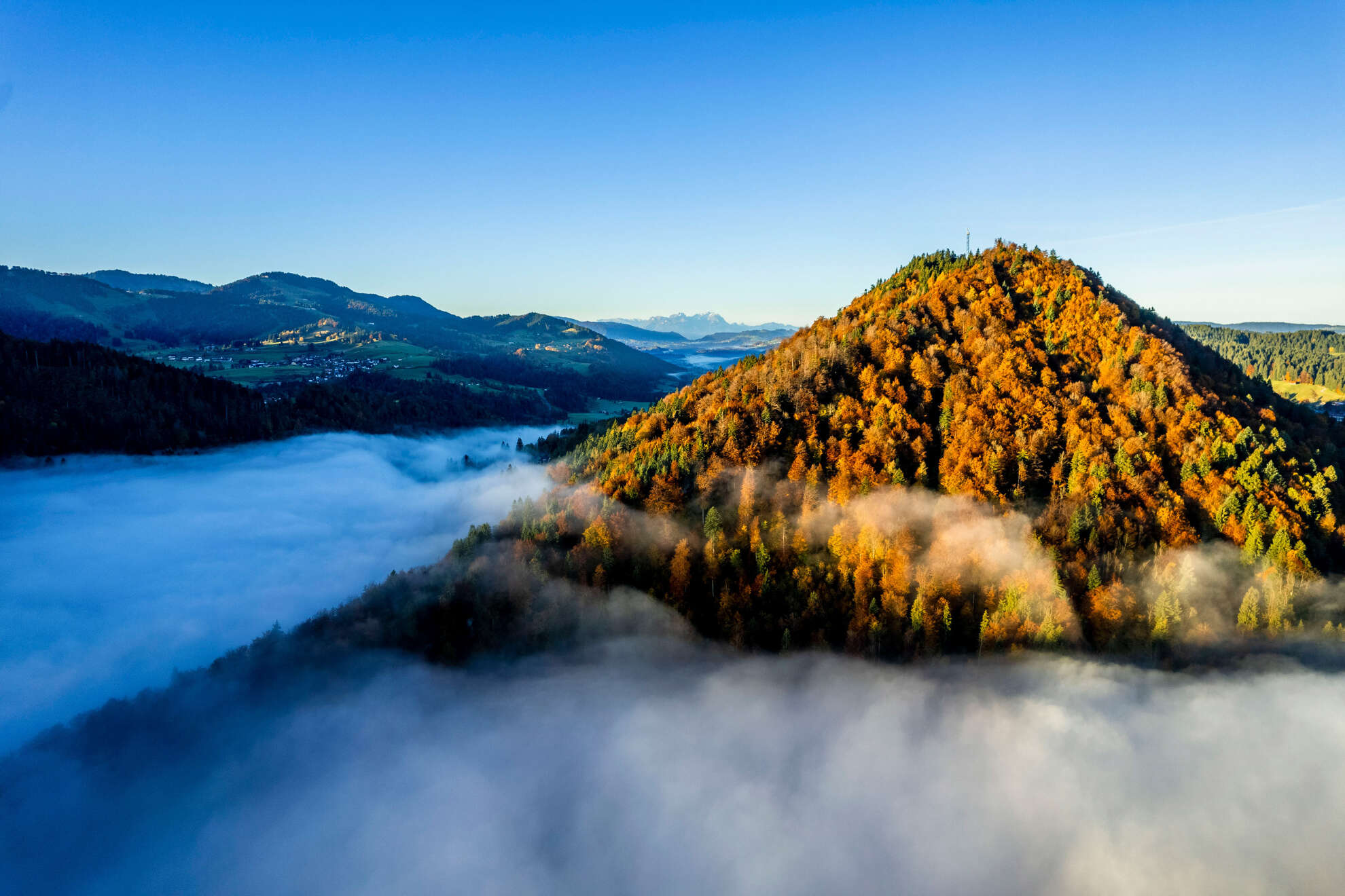 Nebelschwaden ziehen durch das Tal bei Oberstaufen im Allgäu.