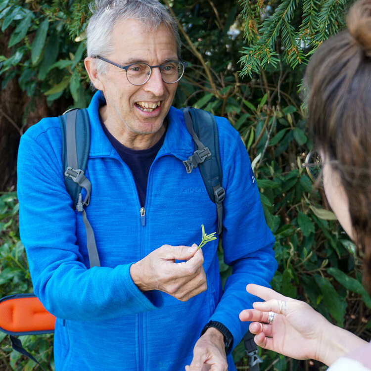 Auf geführten Wanderungen die Natur von Oberstaufen im Allgäu erkunden