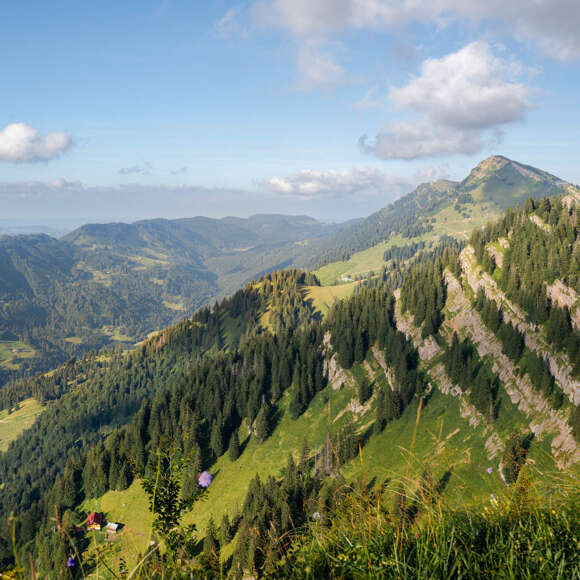 Ausblick vom Falken über die Nagelfluhkette, das Ehrenschwanger Tal und den Prodelzug im Sommer