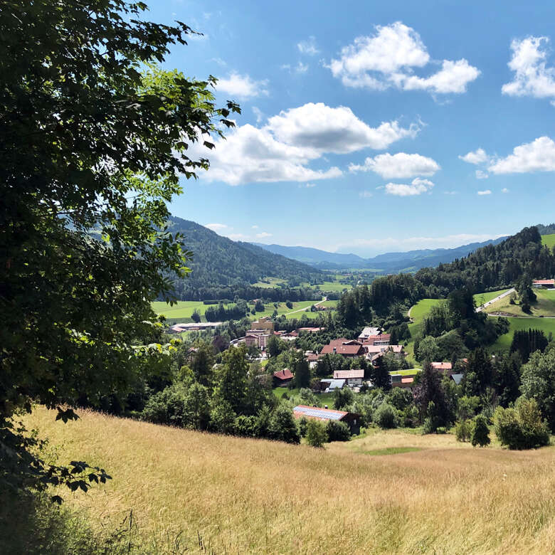 Aussicht auf der Rainwaldrunde über die Natur von Oberstaufen bis zu den Schweizer Alpen