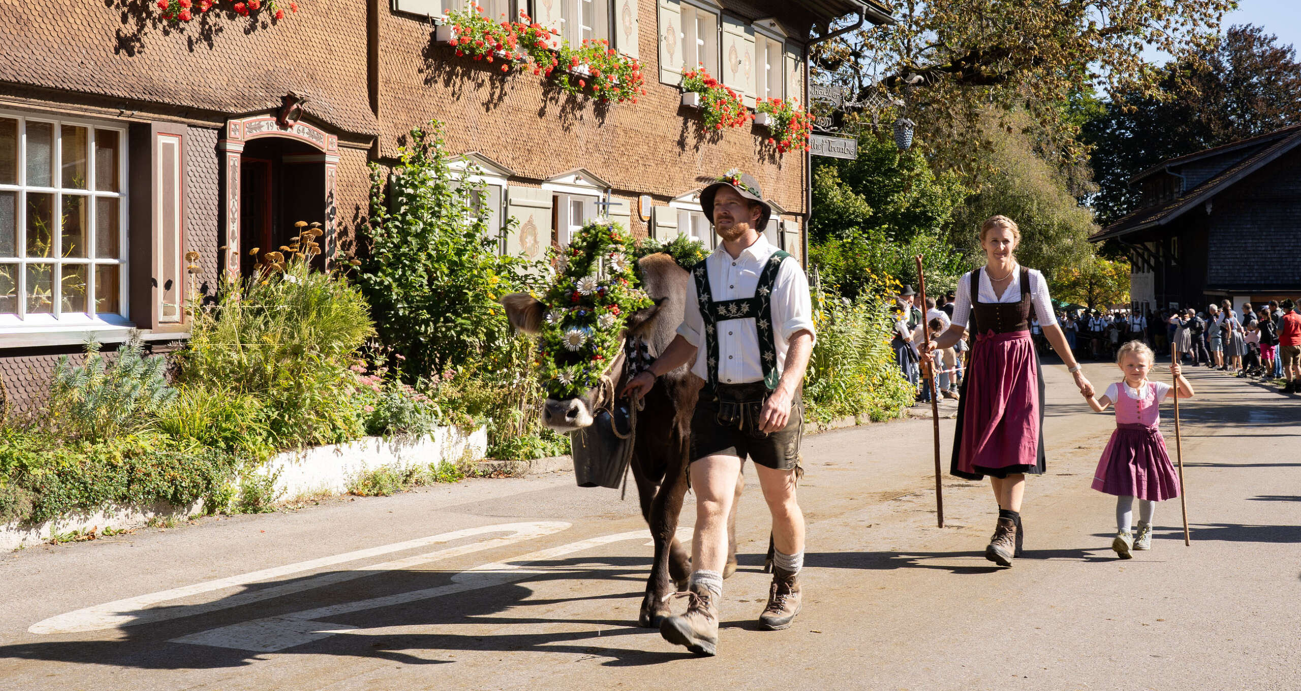 Der Älpler präsentiert das Kranzvieh.