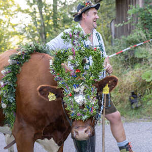 Ein Älpler präsentiert das Kranzvieh.