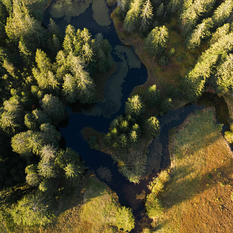 Naturpark Nagelfluhkette aus der Luft