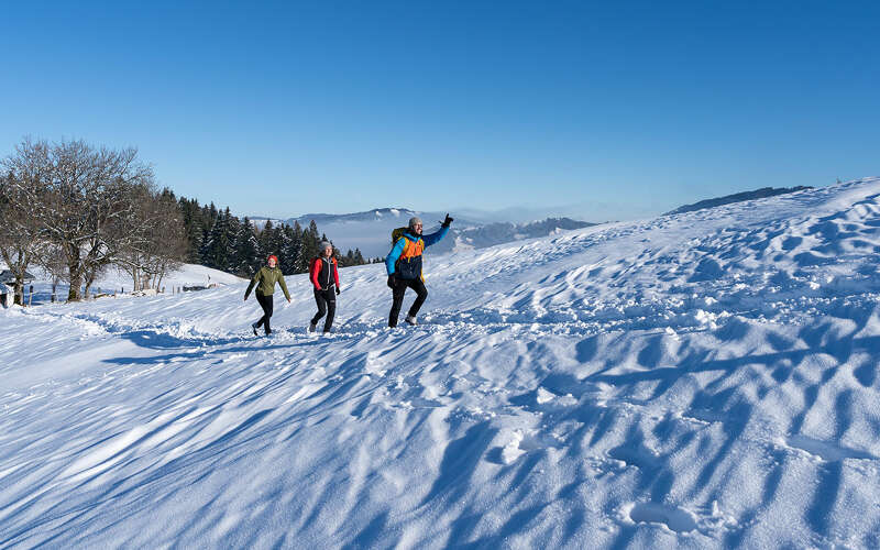 Winterwandern mit Tourguides im Allgäu