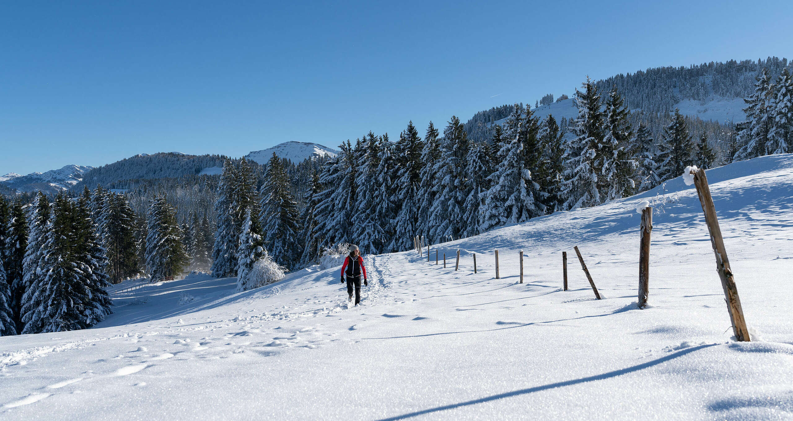 Beim Wandern im Winter im Allgäu die Berge von Oberstaufen erleben. Verschneite Landschaften und weiße Gipfel locken in die Natur. Bei Winterwanderungen erlebt man die schönsten Seiten des Allgäuer Winters.