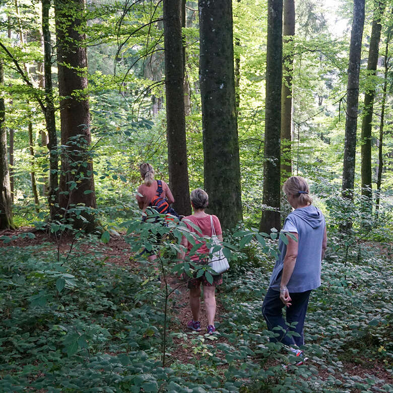 Waldbaden in Oberstaufen.