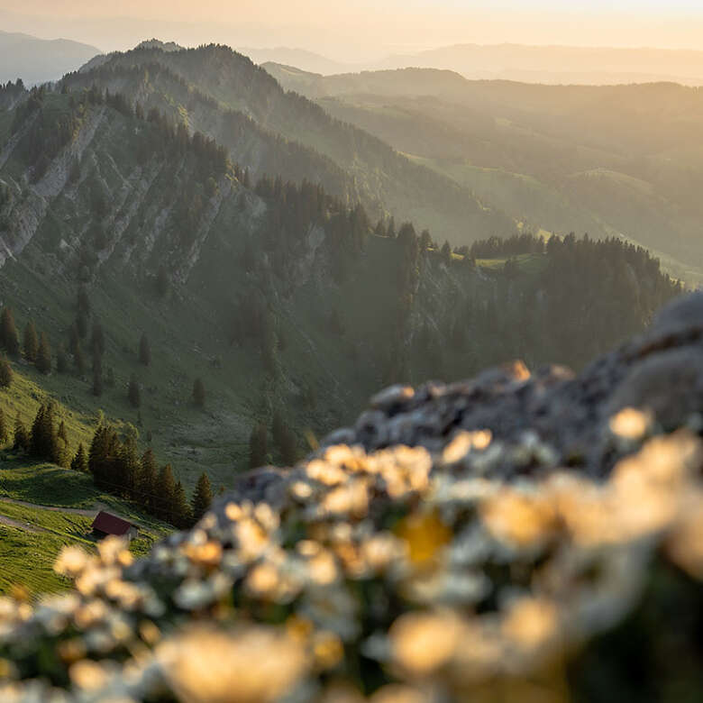 Abendstimmung am Berg