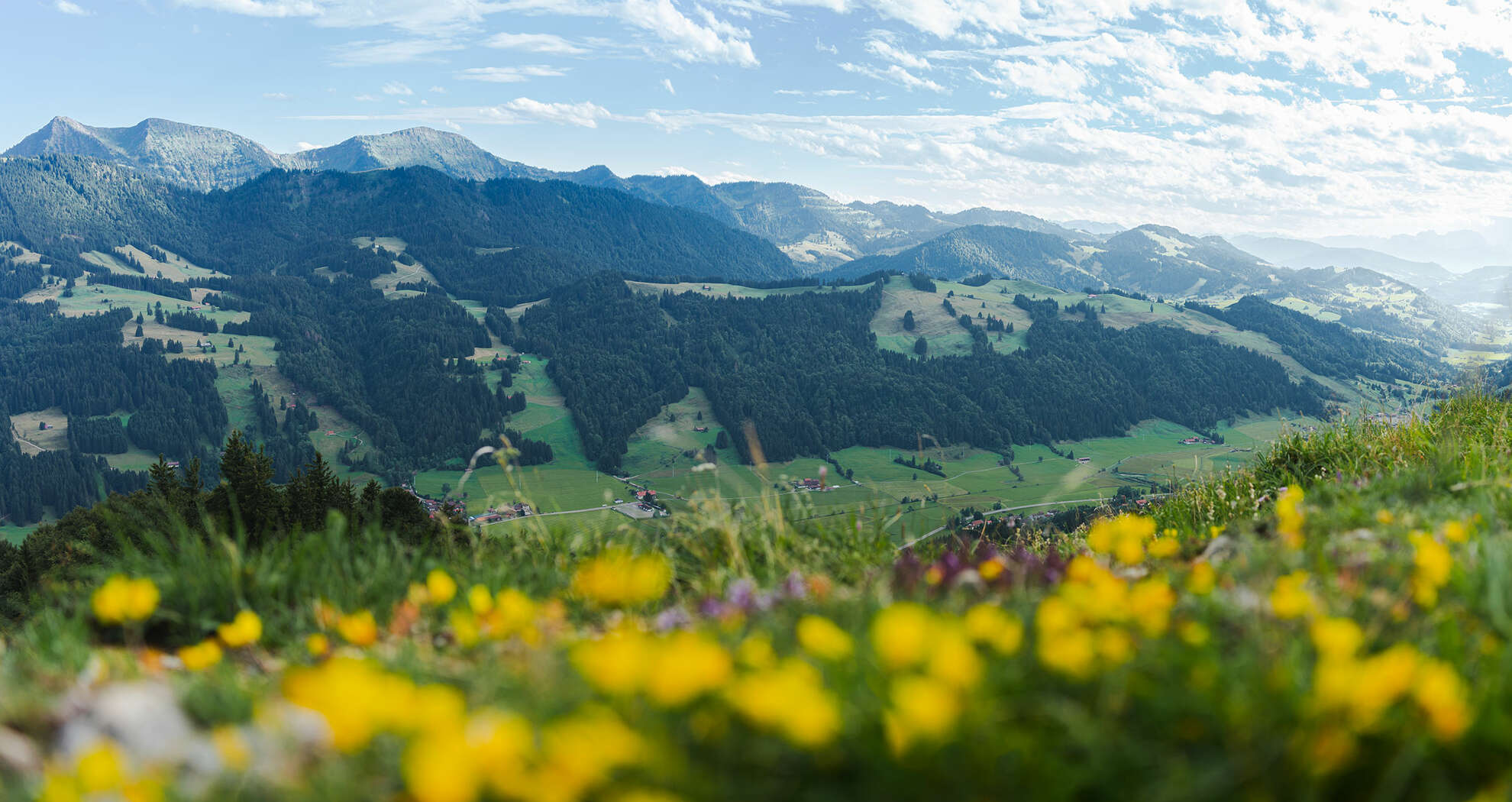 Ausblick von der Salmaser Höhe auf die Nagelfluhkette