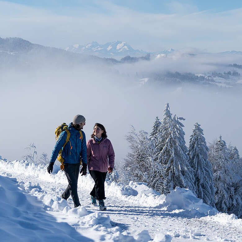 Wandern im Winter in Oberstaufen mit Ausblick auf die verschneiten Schweizer Berge