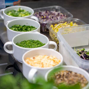 Leckere Kräuterpalette Leckere Kräuterpalette