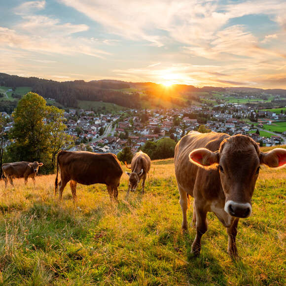 Oberstaufen und der Naturpark prägen die Kultur im Allgäu.