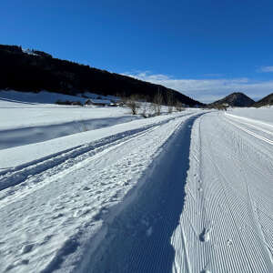 Die Langlaufloipen von Oberstaufen im Allgäu führen in die verschneite Natur. Besonders an sonnigen Tagen ist der Winter ein Genuss.