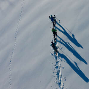 Drohnenaufnahme von Schneeschuhwanderern von oben, die durch ein verschneites Feld an einem sonnigen Tag laufen.