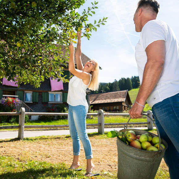 Frau pflückt einen Apfel von einem Baum während ihr Partner zuschaut.