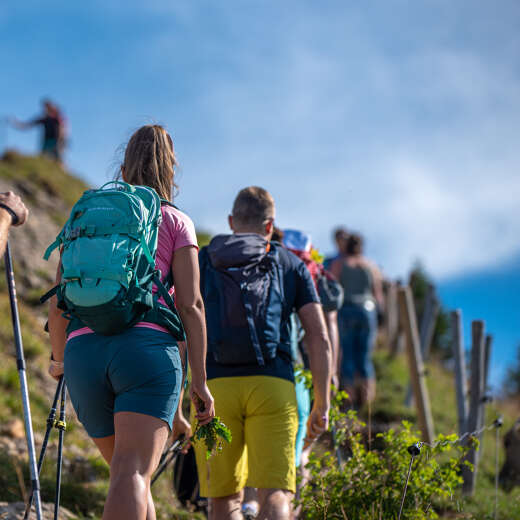 Ein Gruppe Wanderer ist im Sommer auf einem steinigen Wanderweg unterwegs.