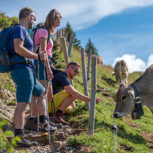 Wandern in den Allgäuer Bergen von Oberstaufen.