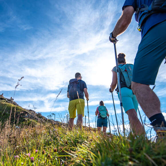 Wandergruppe läuft mit Wanderstöcken einen Berg hinauf.