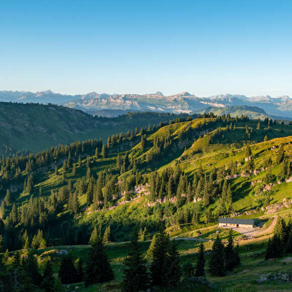 Wandern auf der westlichen Nagelfluhkette bei Oberstaufen.