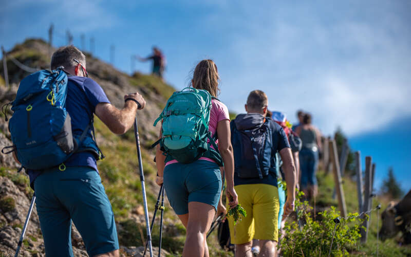 Gruppe wandert auf den Hochgrat in Oberstaufen