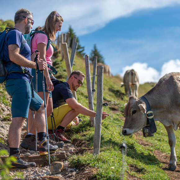 Die schönsten Wanderungen im Allgäu in Oberstaufen