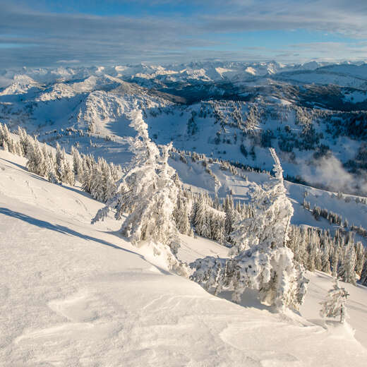 Schneeverhangene Bäume und ein weites Bergpanorama im Winter bei Sonnenschein.