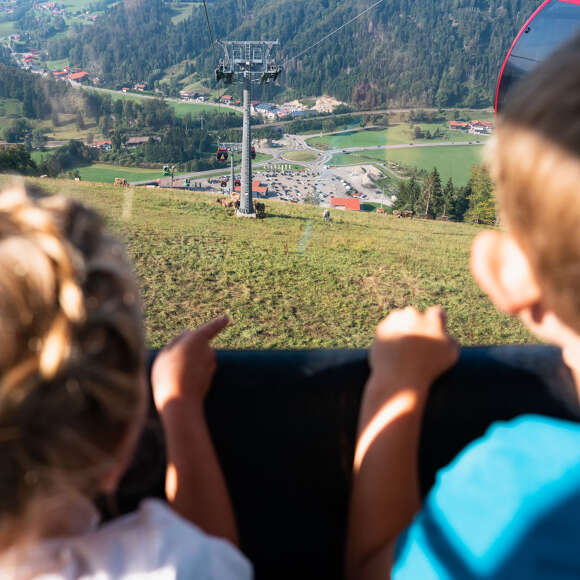 Ausblick auf der Hündlegondel auf die grüne Natur