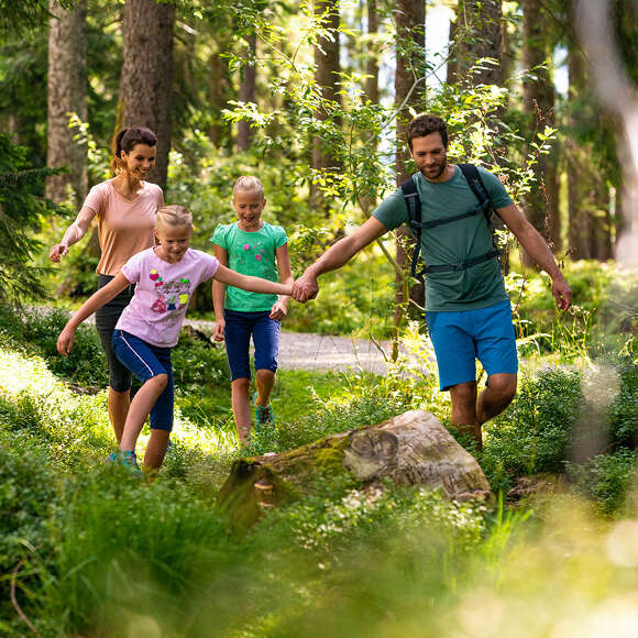 Familienzeit in Allgäuer Natur Familienzeit im Wald