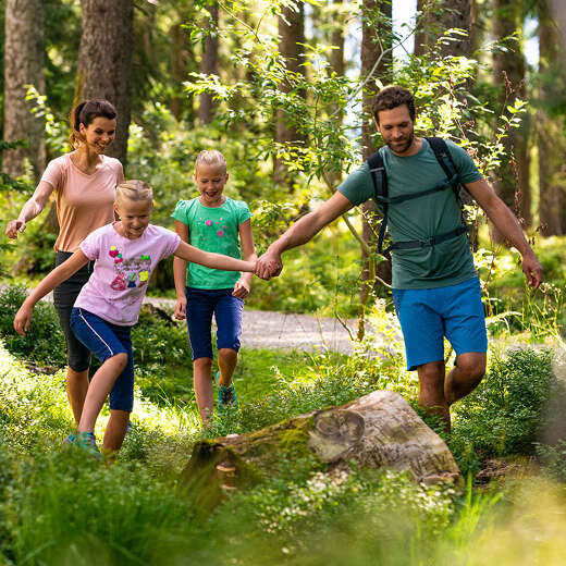 Familienzeit im Wald