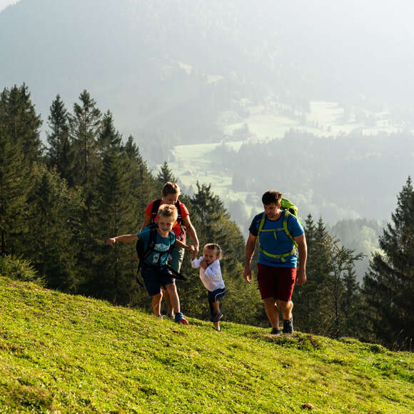 Wanderung auf den Hündlegipfel mit Ausblick auf die grüne Landschaft um Oberstaufen