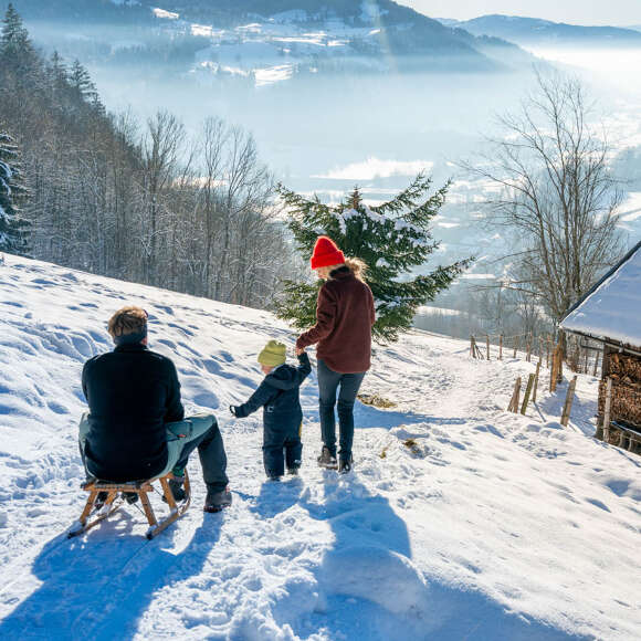 Familie rodelt am Staufen mit Ausblick auf die umliegenden verschneiten Berge