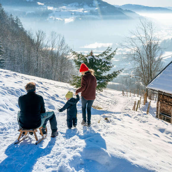 Familie rodelt am Staufen mit Ausblick auf die umliegenden verschneiten Berge