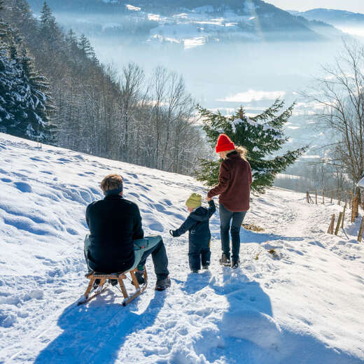 Wandern und Rodeln mit Kindern Familie rodelt am Staufen mit Ausblick auf die umliegenden verschneiten Berge
