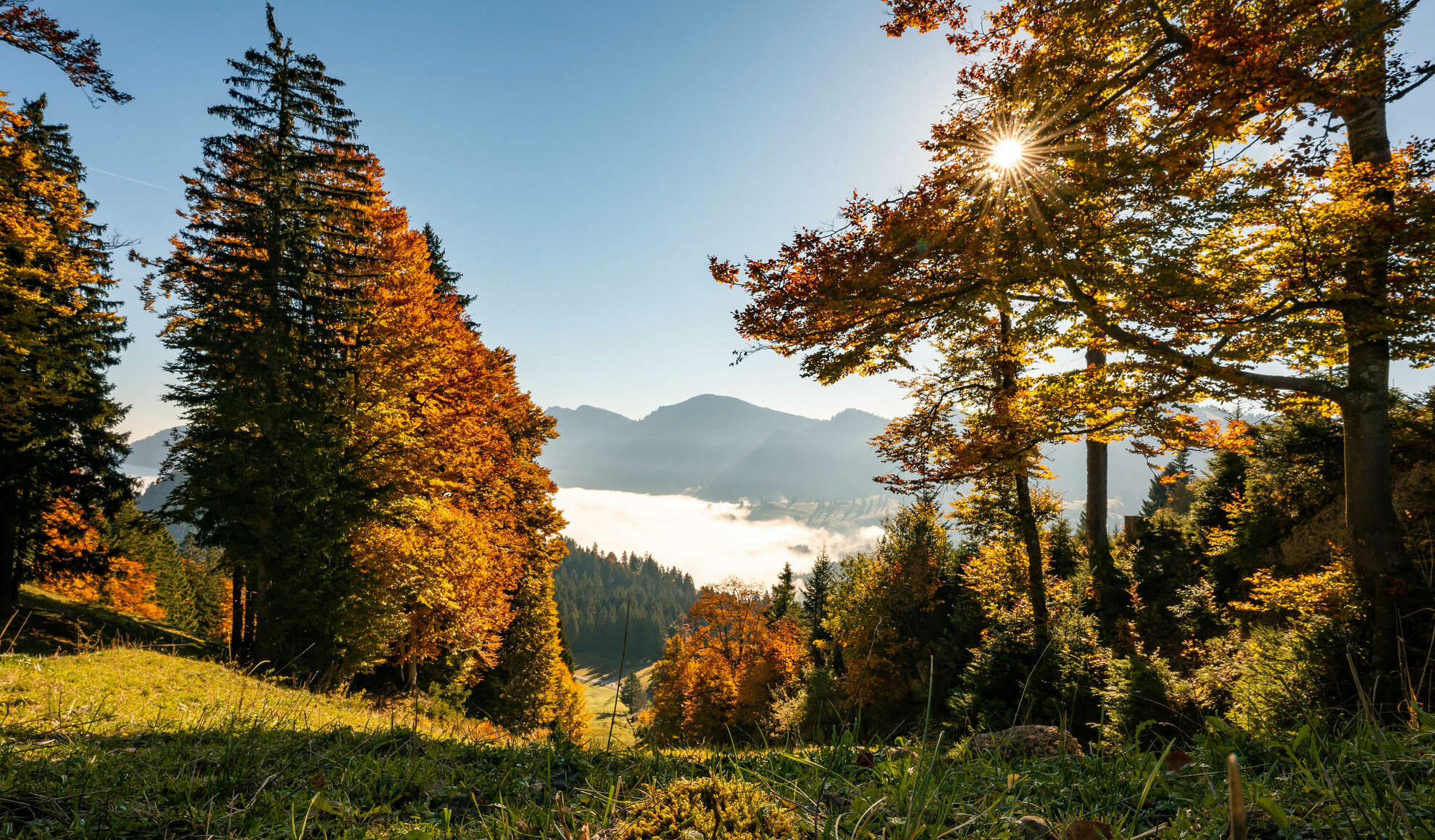 Erlebe den Wechsel der Jahreszeiten beim Wandern durch die Allgäuer Natur.