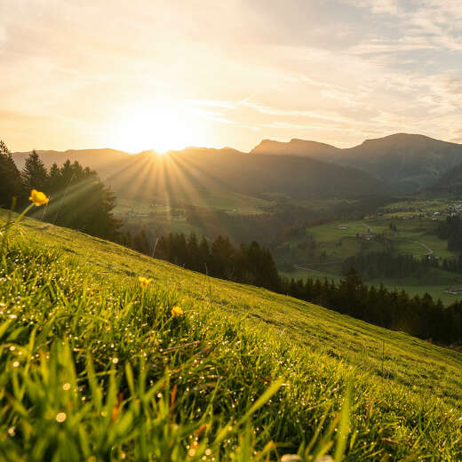 Urlaub in den Unterkünften in Oberstaufen im Allgäu