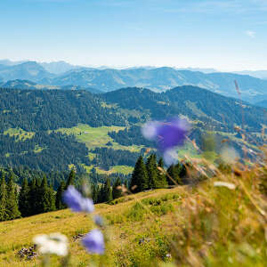 Panorama der Allgäuer Berge bei Oberstaufen.