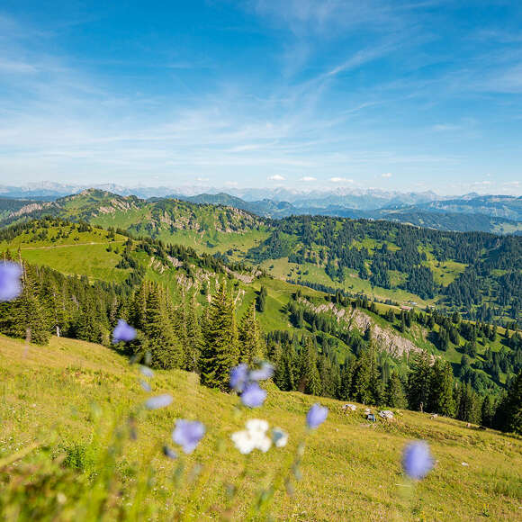 Bergpanorama des Naturpark Nagelfluhkette im Allgäu.