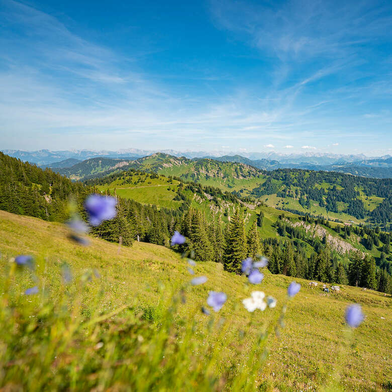 Die Aussicht auf dem Hochgrat bei Oberstaufen bei klarer Sicht.