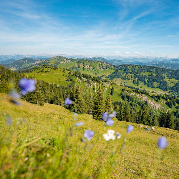 Ausblick in die Weite des Allgäus