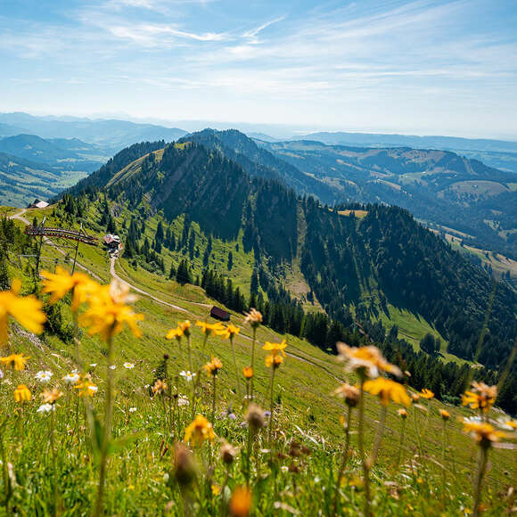 Sommer in den Bergen von Oberstaufen im Allgäu