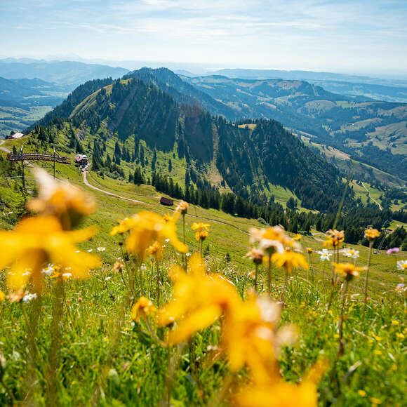 Panorama der westlichen Nagelfluhkette und den Alpen bis zum Bodensee im Sommer.