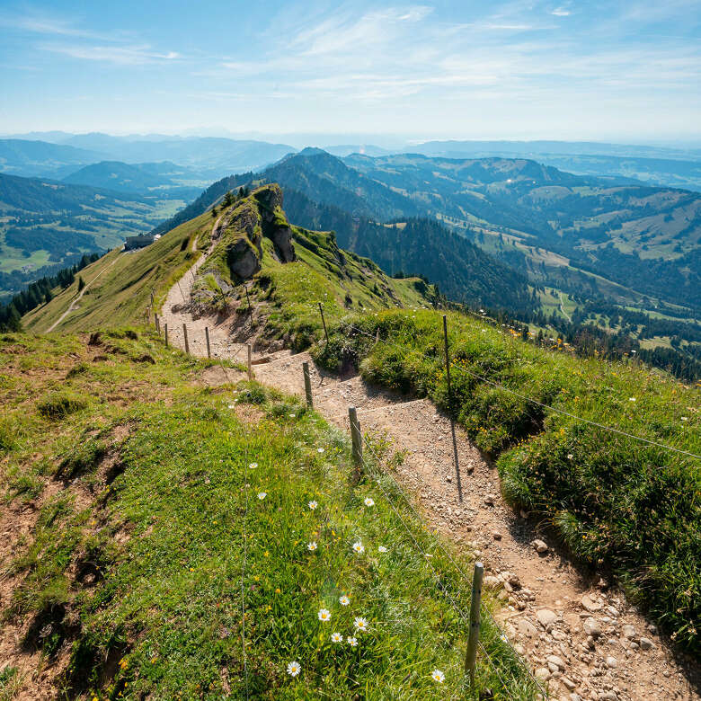 Wanderweg im Sommer auf dem Hochgrat im Allgäu.