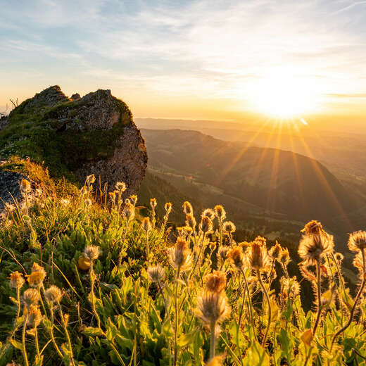 Sommer in den Bergen bei Oberstaufen im Allgäu.