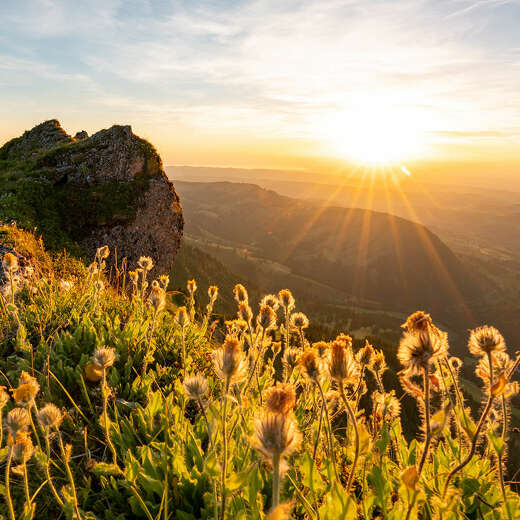 Naturpark Nagelfluhkette im Sonnenuntergang