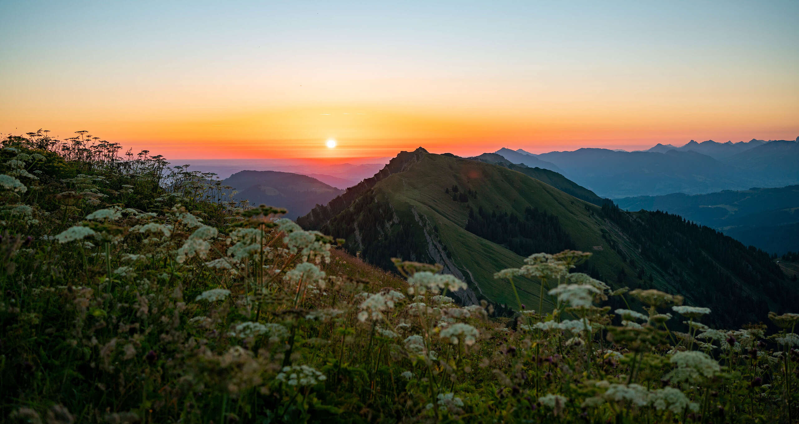 Sonnenuntergang am Hochgrat