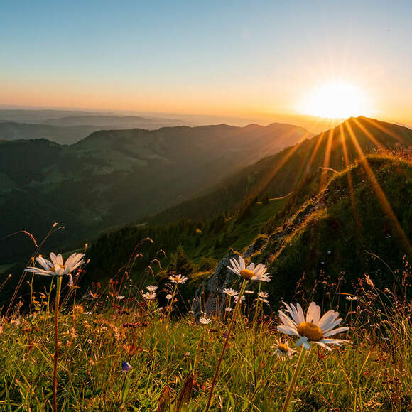 Wandern auf der Nagelfluhkette bei Oberstaufen.