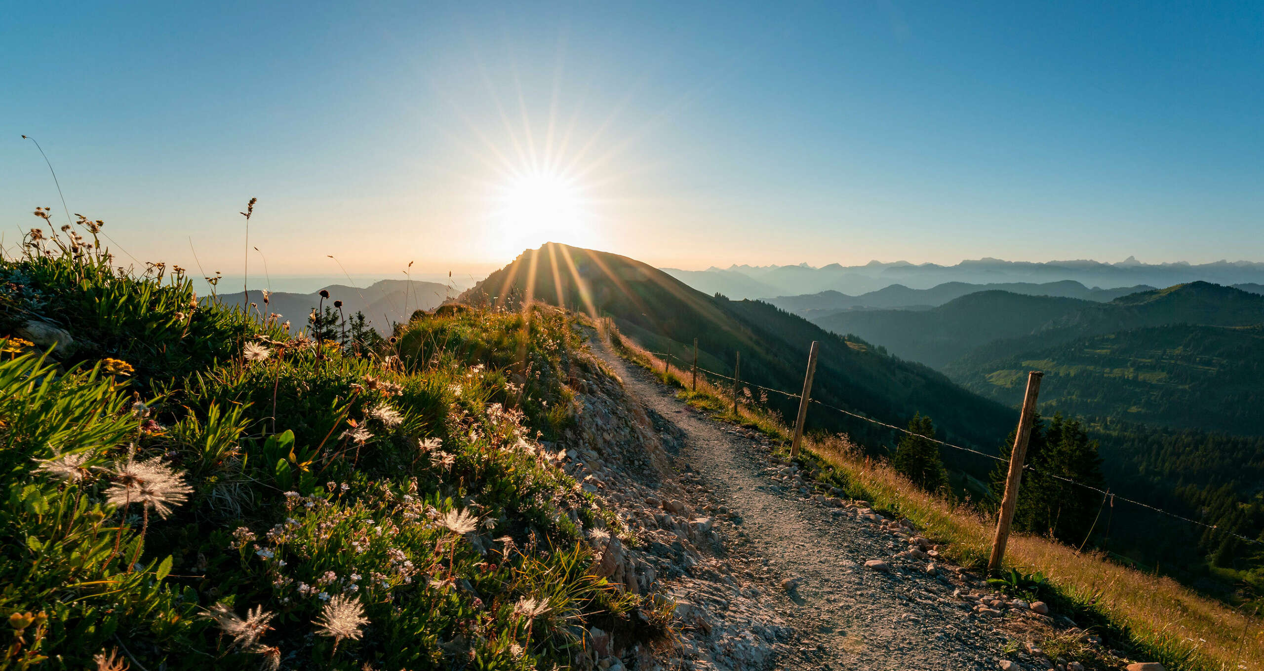 Auf dem Grat der Nagelfluhkette in der Morgensonne mit Bergpanorama der Allgäuer Alpen.