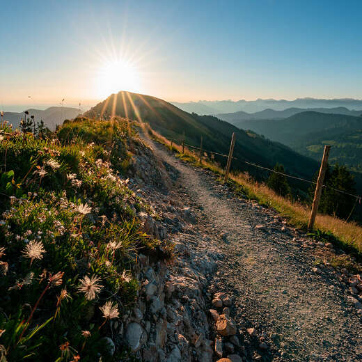 Sonnenuntergang an der Nagelfluhkette