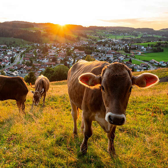 Allgäu Urlaub von der schönsten Seite