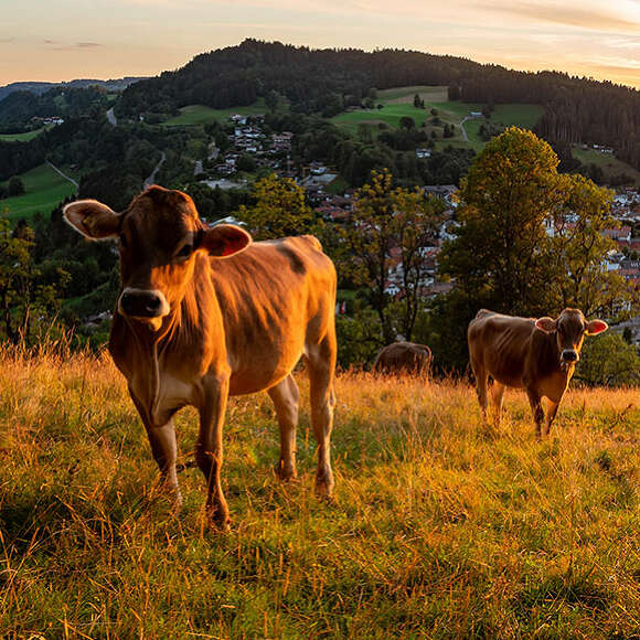 Regionaler und naturnaher Urlaub in Oberstaufen.