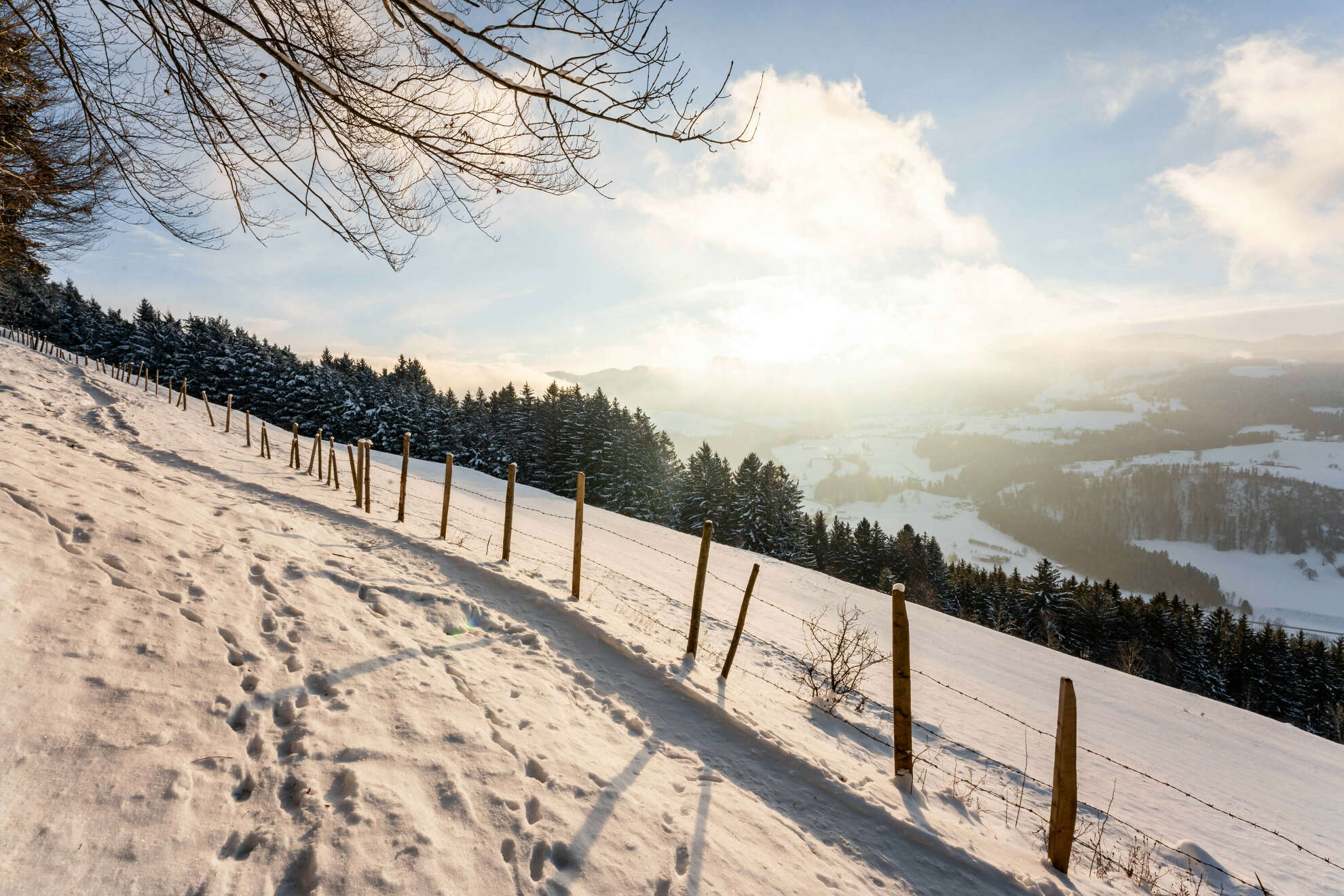 Die winterliche Sonne geht über dem Hochgrat unter und scheint auf den Hausberg "Kapf".